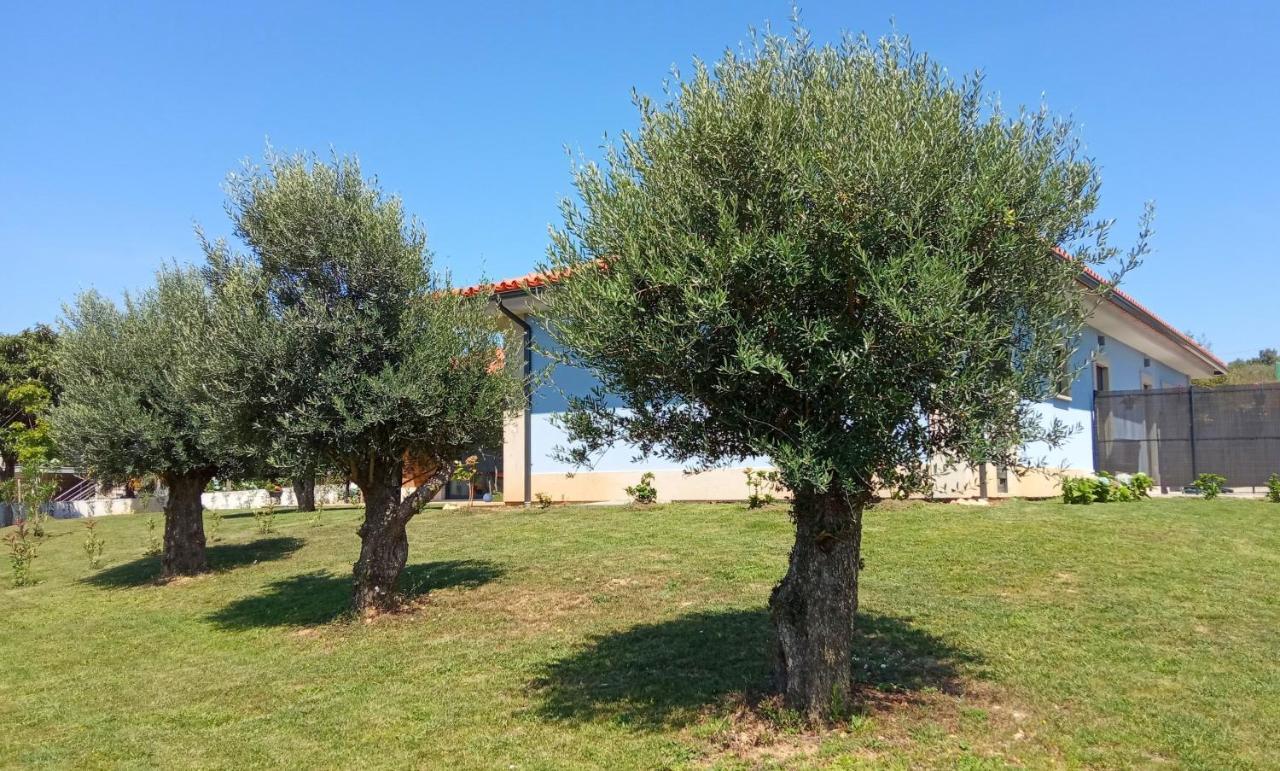Jardim das Oliveiras - Suítes com Vista Ponte de Lima Exterior foto